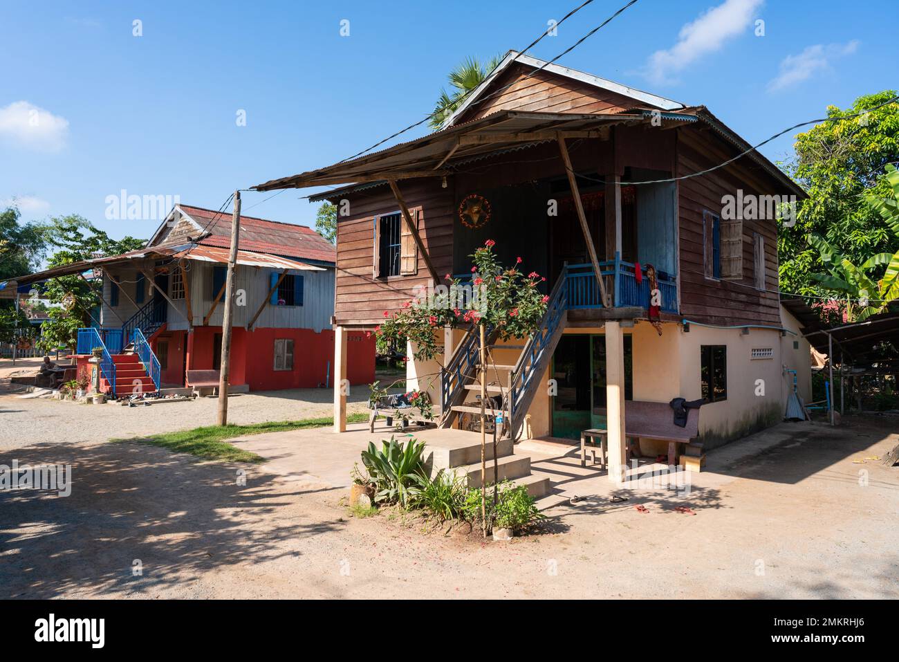 Villaggio cambogiano di grande banyan albero Foto Stock