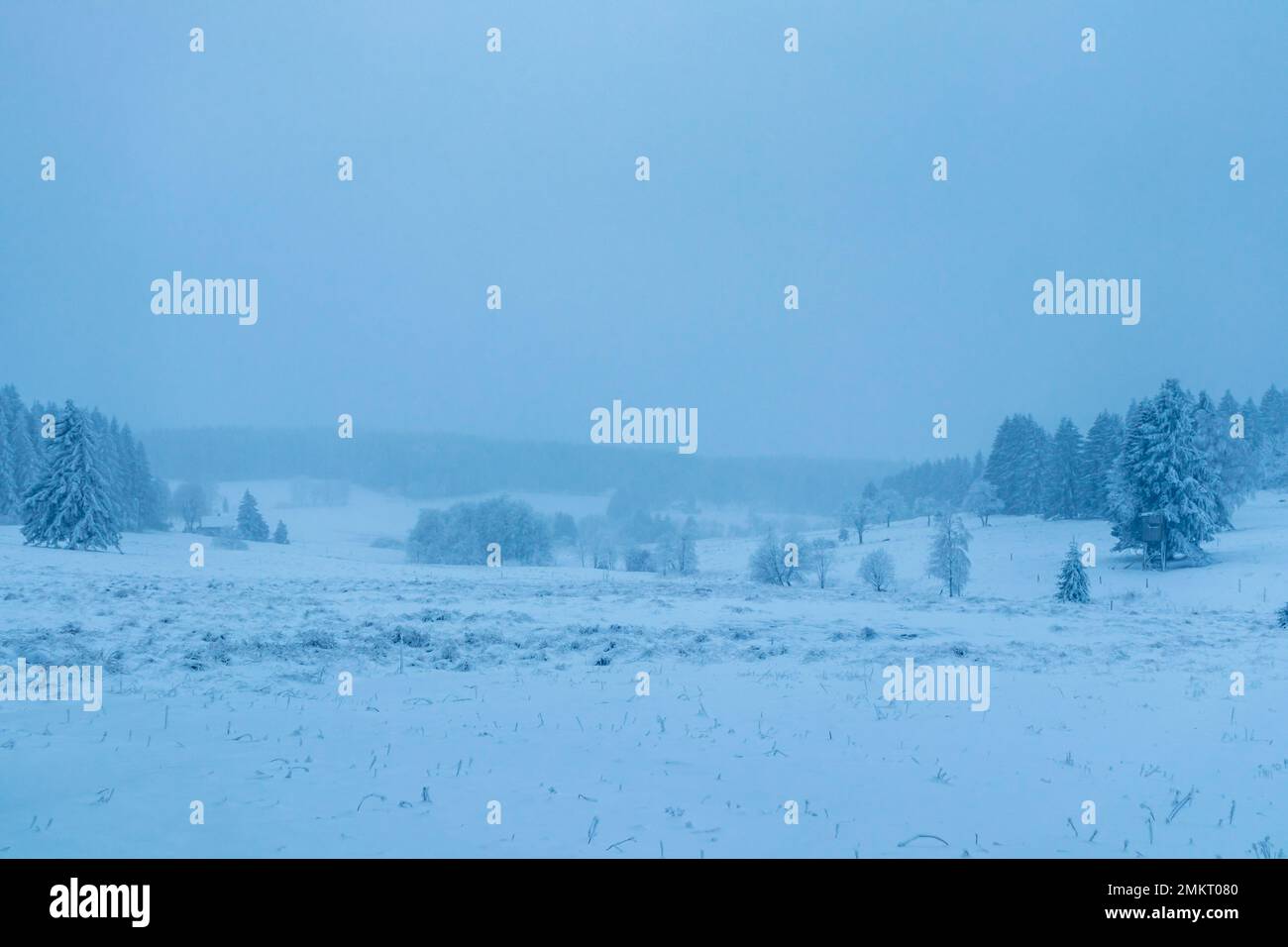 Splendido paesaggio invernale sulle alture della Foresta Turingia vicino Oberhof - Turingia - Germania Foto Stock