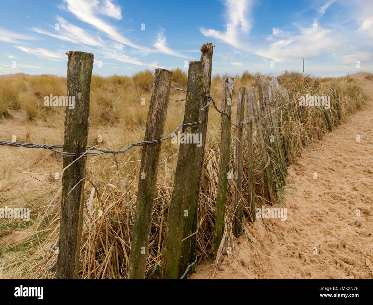 Una semplice recinzione in legno separa l'erba protetta delle dune in un sito di particolare interesse scientifico, da un sentiero pubblico. St Annes, Lancashire, Regno Unito Foto Stock