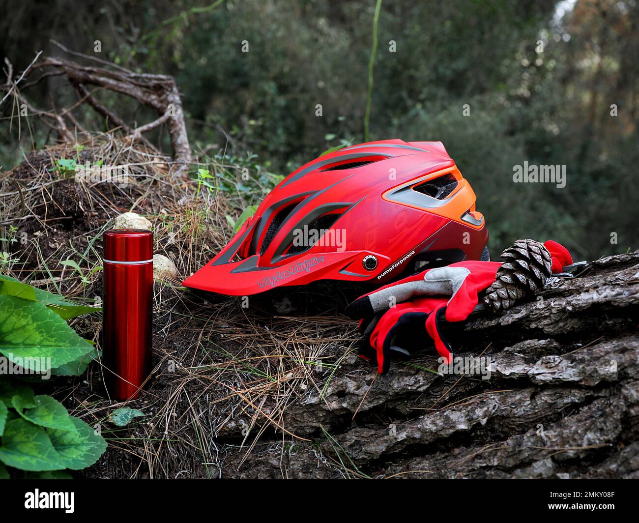 Troy lee progetta A3 MIPS casco MTB nella foresta. Casco rosso, guanti rossi e thermos rosso per il tè. Foto Stock