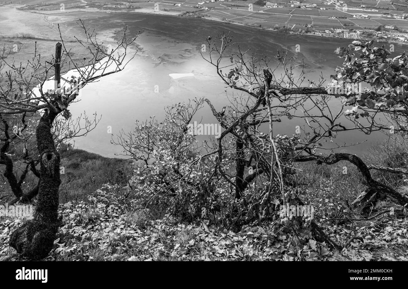 Lago di Caldaro: Vista panoramica sul bellissimo lago nella stagione invernale. Caldaro in Alto Adige, provincia di Bolzano, Trentino Alto Adige, Italia settentrionale Foto Stock