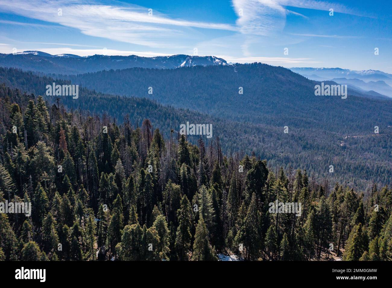 La fotografia dei droni al Sequoia National Park è un parco nazionale  americano nella Sierra Nevada meridionale, a est di Visalia, California  Foto stock - Alamy