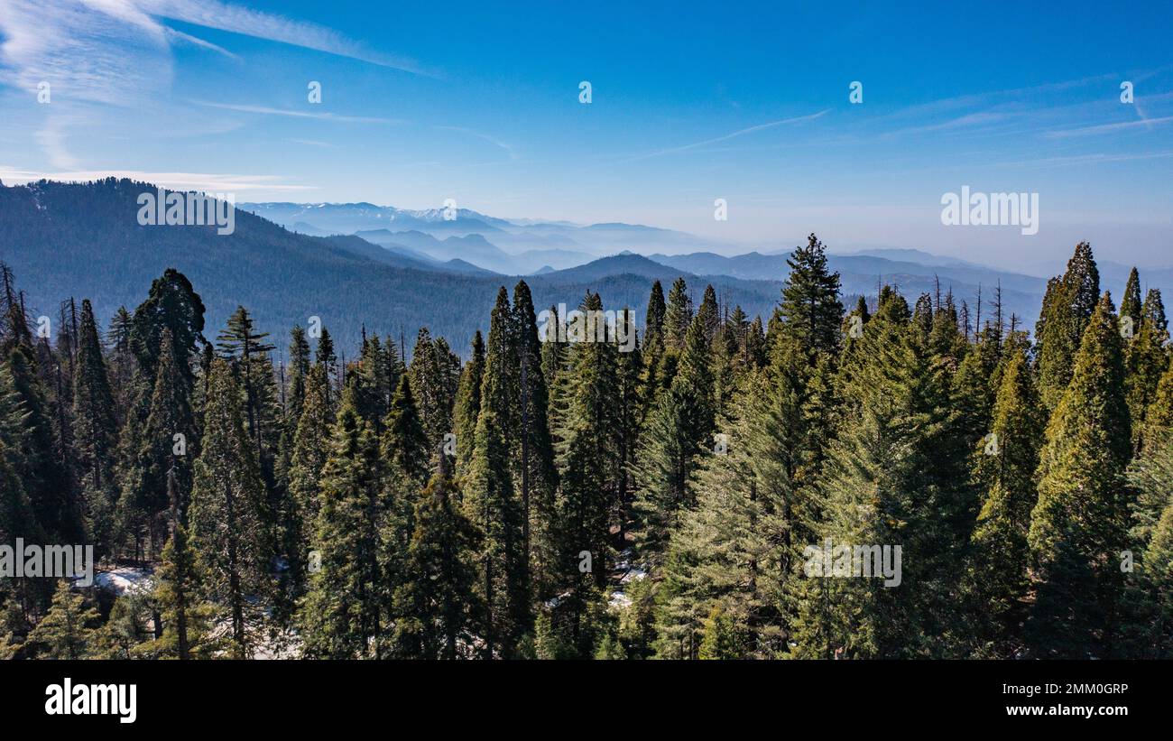 La fotografia dei droni al Sequoia National Park è un parco nazionale americano nella Sierra Nevada meridionale, a est di Visalia, California. Foto Stock