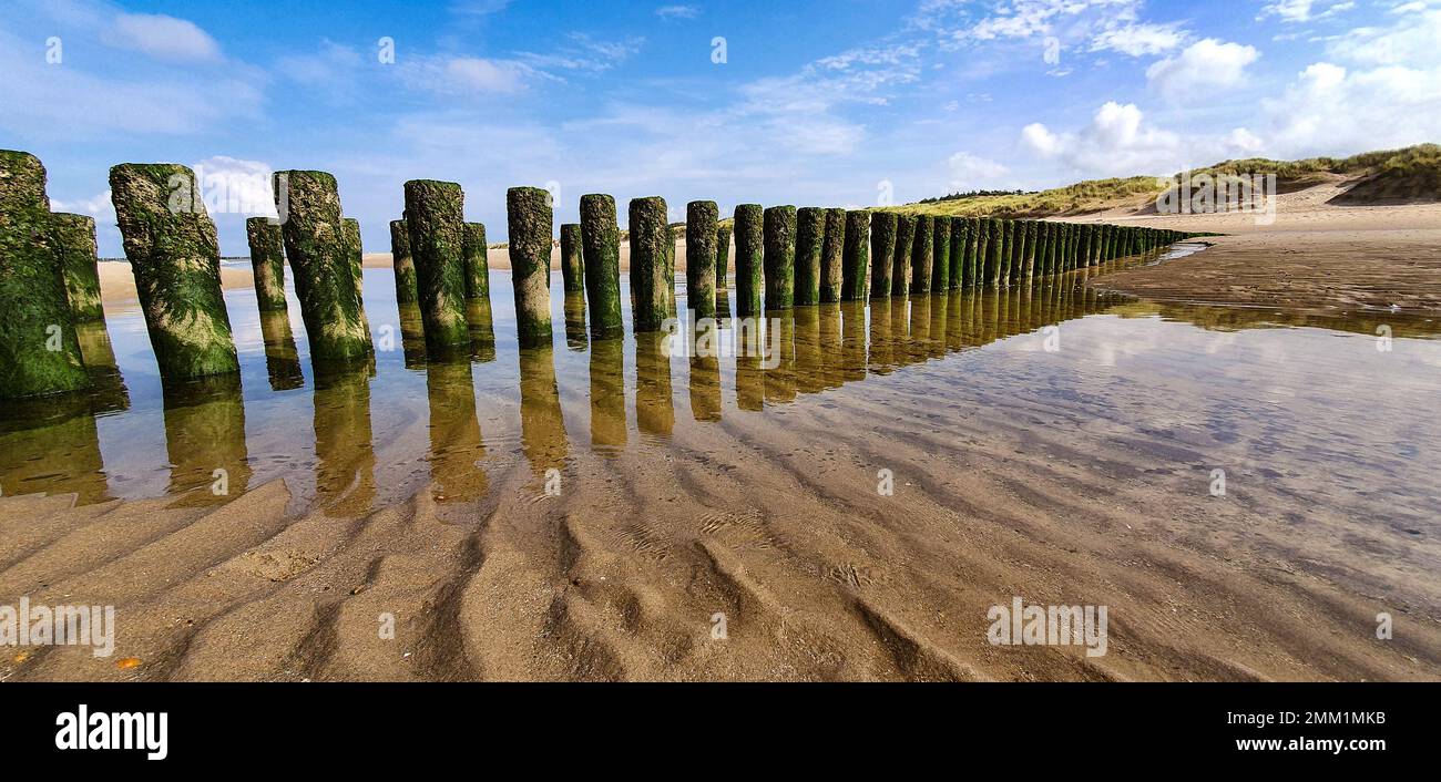 Gallo di legno e cielo blu in spiaggia Foto Stock