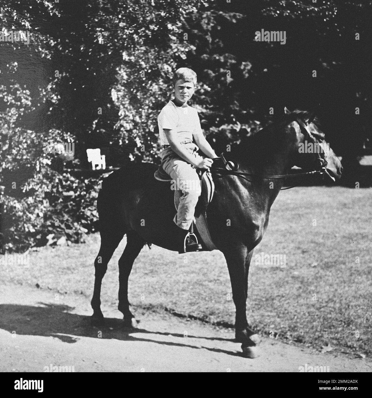 Carl XVI Gustaf, re di Svezia. Nato il 30 aprile 1946. 1960 rif. EG27-12 Foto Stock