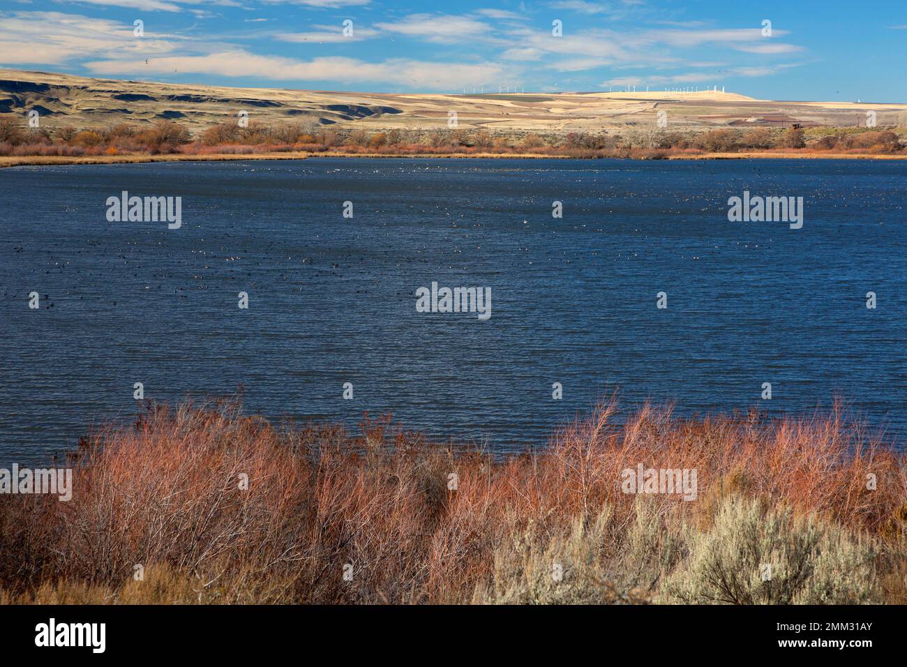 Smiths Harbor, McNary National Wildlife Refuge, Washington Foto Stock