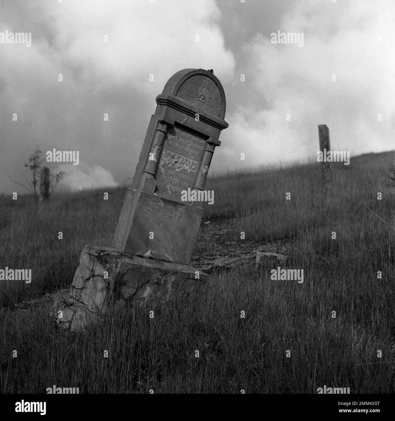 Resti di un cimitero ebraico a Jelšava, Slovacchia. Una lapide solica inclinata in erba. Foto Stock