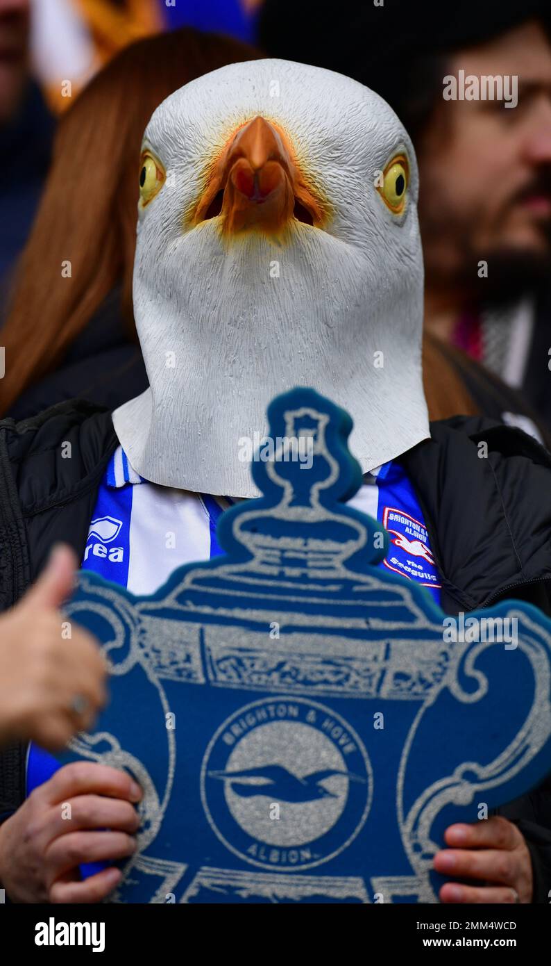 Brighton, Regno Unito. 29th Jan, 2023. Un fan di Brighton durante la partita della fa Cup Fourth Round tra Brighton & Hove Albion e Liverpool all'Amex il 29th 2023 gennaio a Brighton, Inghilterra. (Foto di Jeff Mood/phcimages.com) Credit: PHC Images/Alamy Live News Foto Stock