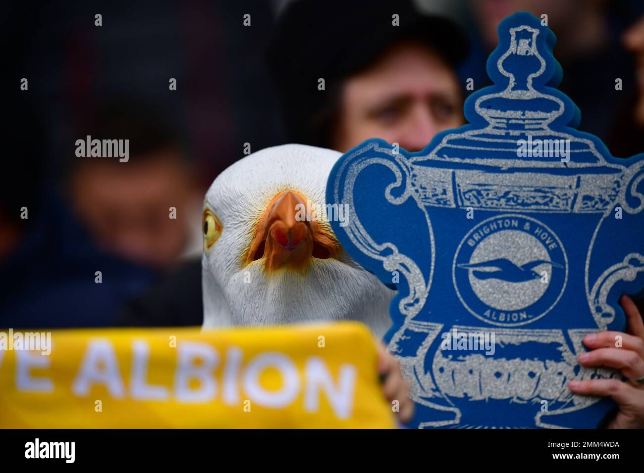Brighton, Regno Unito. 29th Jan, 2023. Un fan di Brighton durante la partita della fa Cup Fourth Round tra Brighton & Hove Albion e Liverpool all'Amex il 29th 2023 gennaio a Brighton, Inghilterra. (Foto di Jeff Mood/phcimages.com) Credit: PHC Images/Alamy Live News Foto Stock
