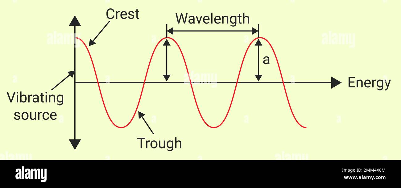 Le caratteristiche dell'onda: Ampiezza, lunghezza d'onda, frequenza e velocità Illustrazione Vettoriale