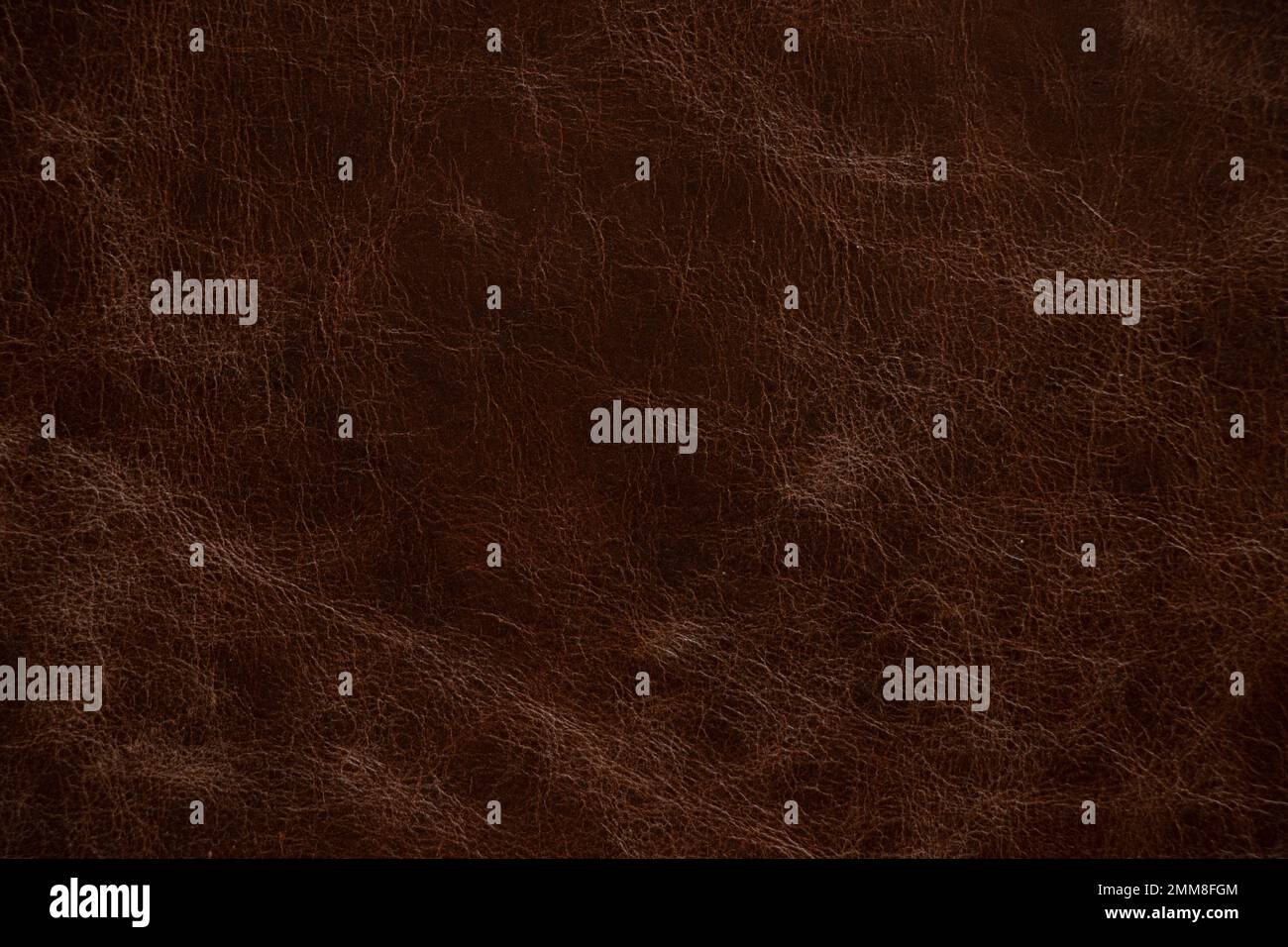pelle marrone come sfondo, un pezzo di pelle animale marrone, macro foto Foto Stock