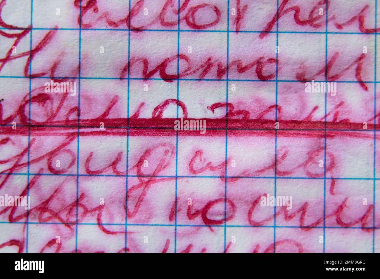 quaderno della scuola in una gabbia, tutti dipinti a mano con testo sfocato con acqua come sfondo, iscrizione scritta a mano in un quaderno della scuola Foto Stock