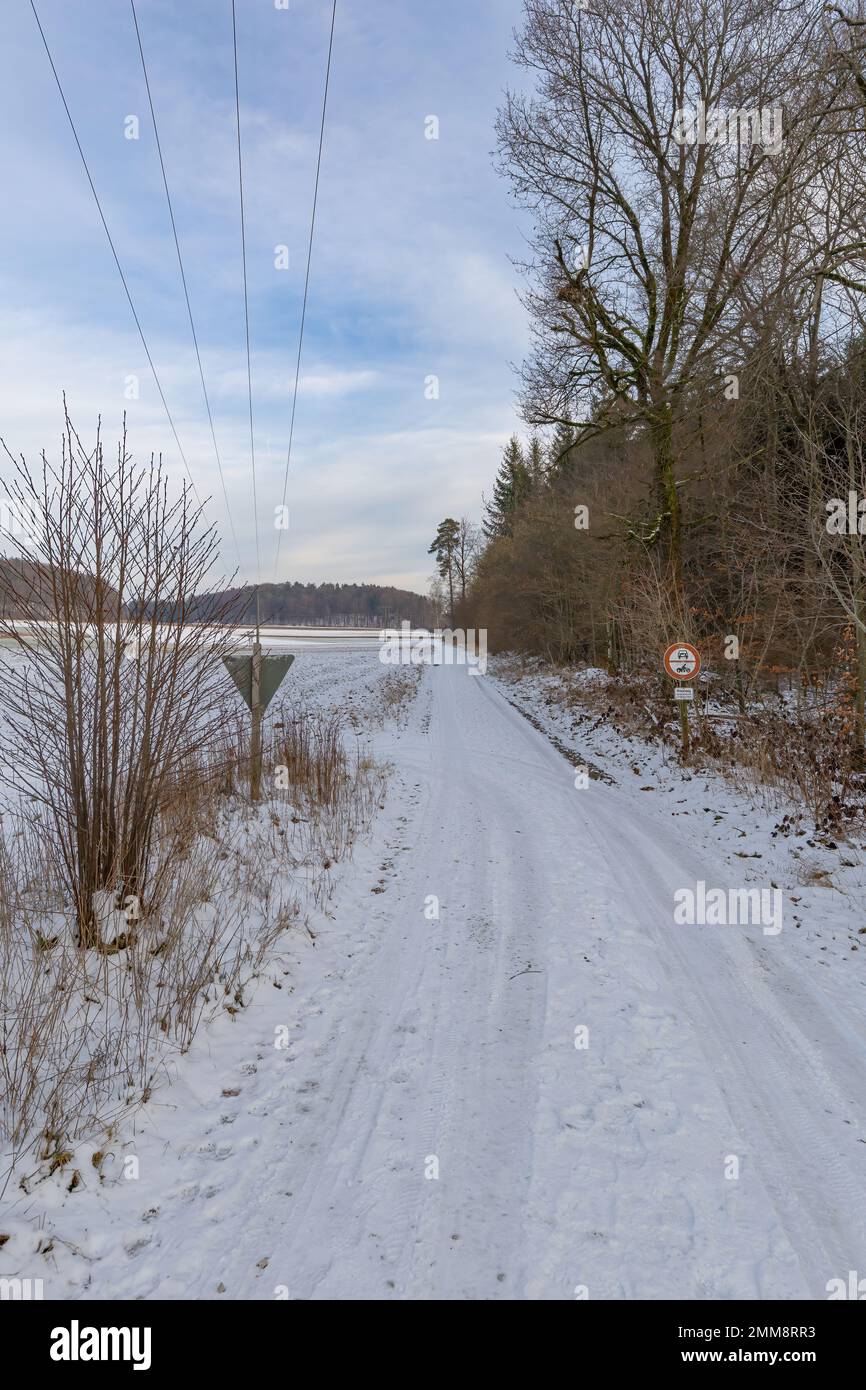 sentiero invernale lungo la foresta Foto Stock