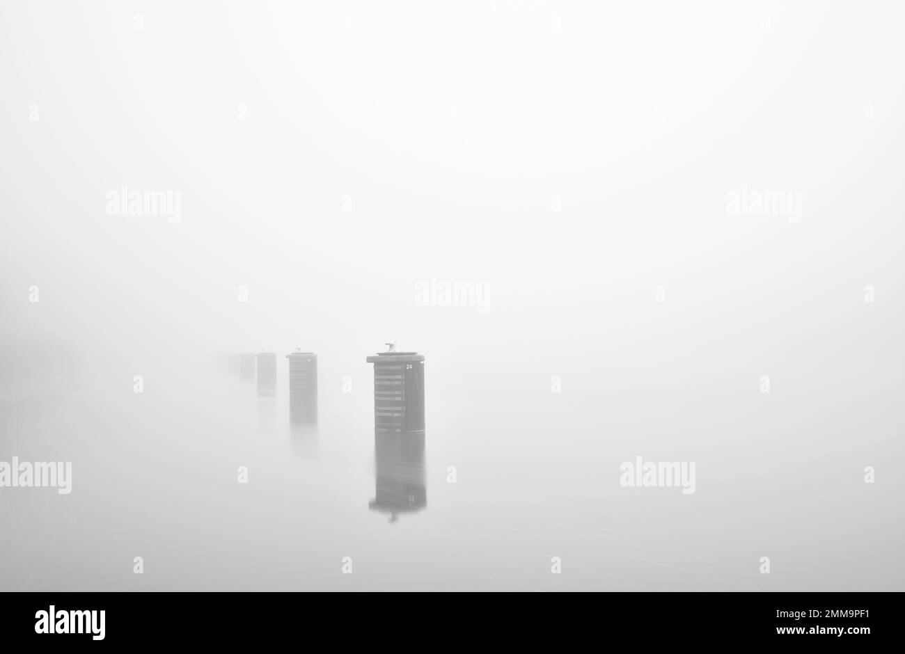 Delfini, molo nel canale Kiel con nebbia, Schleswig-Holstein, Germania Foto Stock