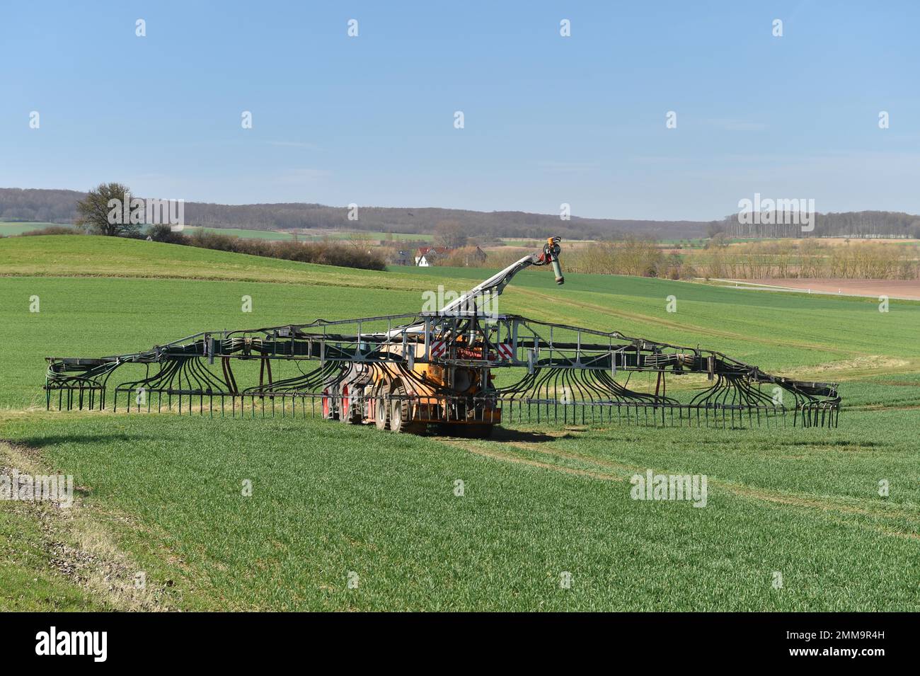 L'autocisterna per liquame porta i liquami in un campo, l'Assia, Germania Foto Stock