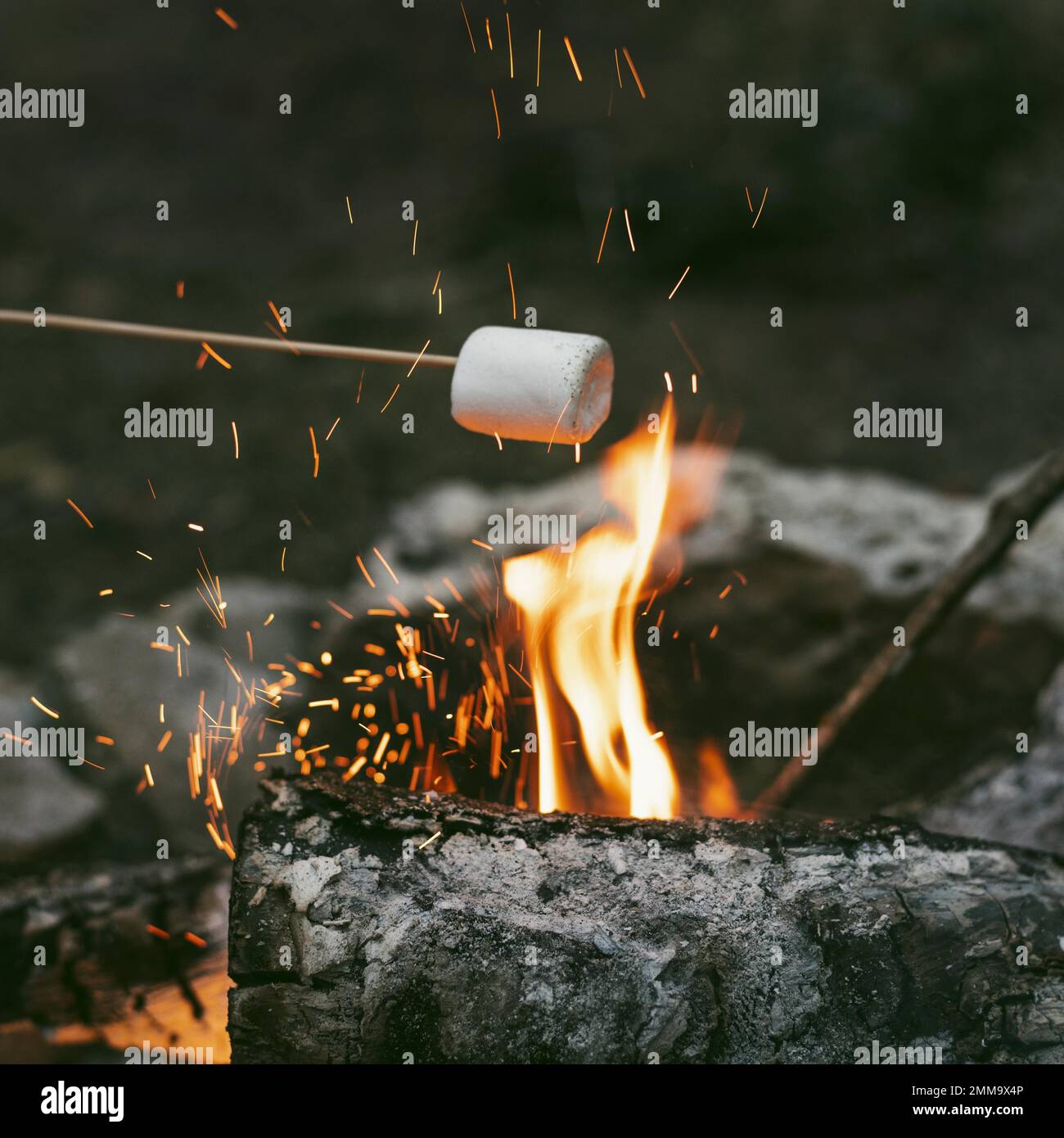 persona che brucia marshmallows campo fuoco 2. Risoluzione e foto di alta qualità Foto Stock