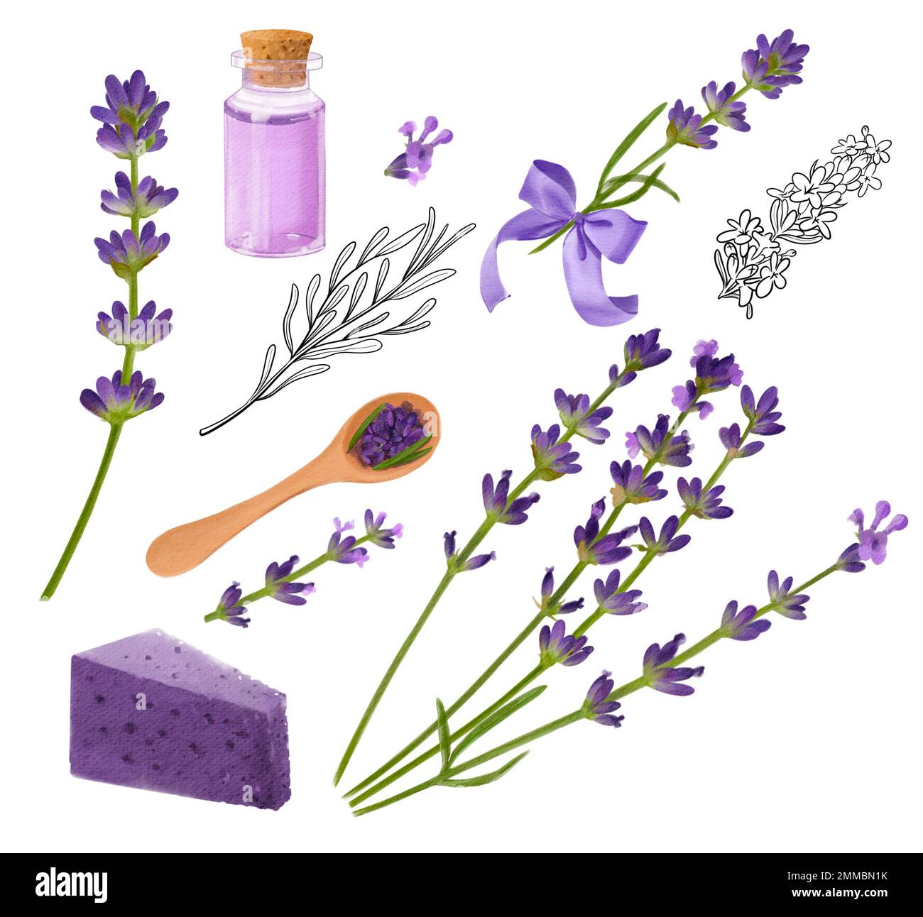 Set di elementi fiori di lavanda, bottiglie, sapone e arco viola, disegni acquerelli su sfondo bianco Foto Stock
