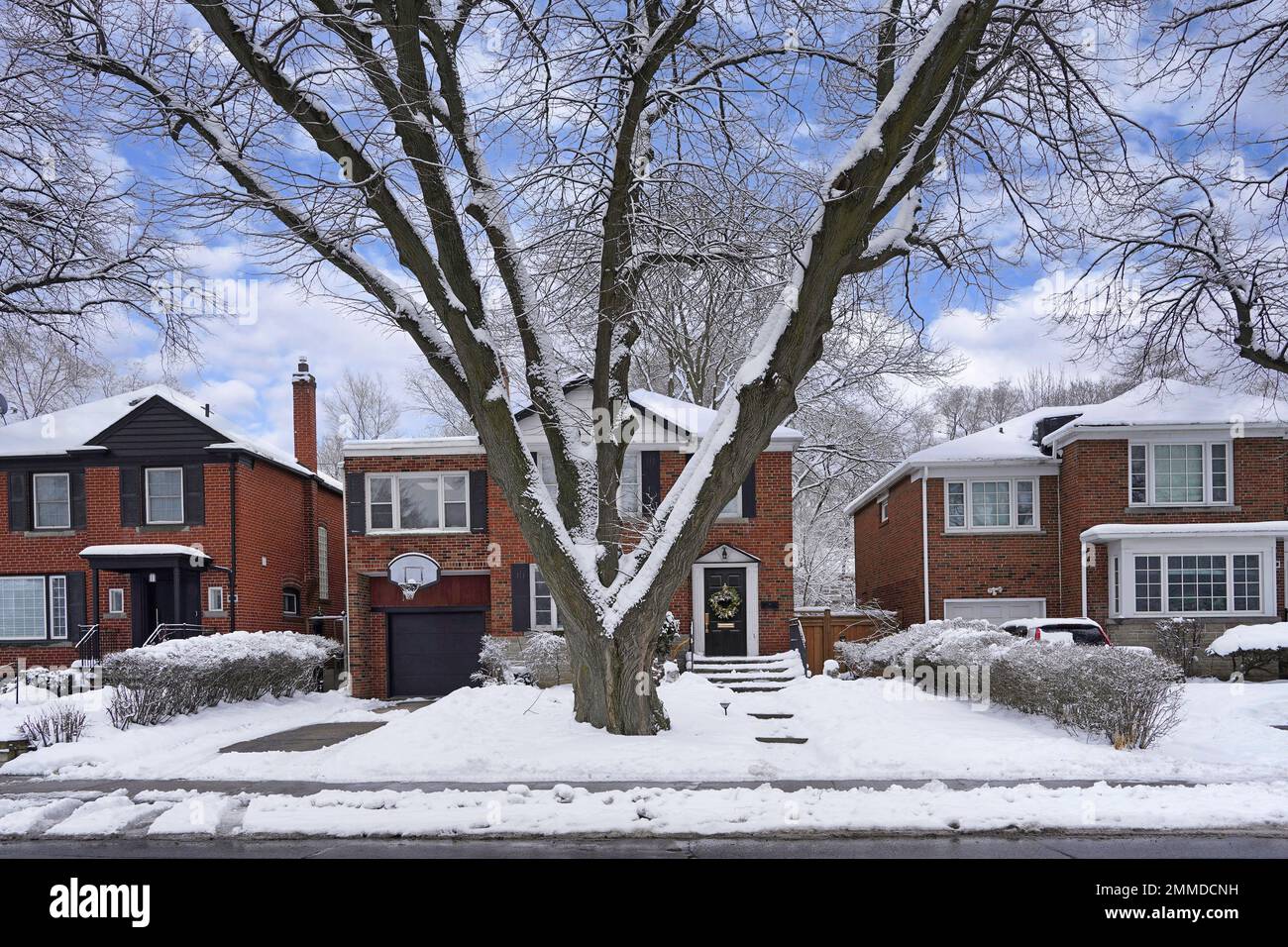 Tradizionale strada residenziale in inverno con alberi coperti di neve e cespugli Foto Stock
