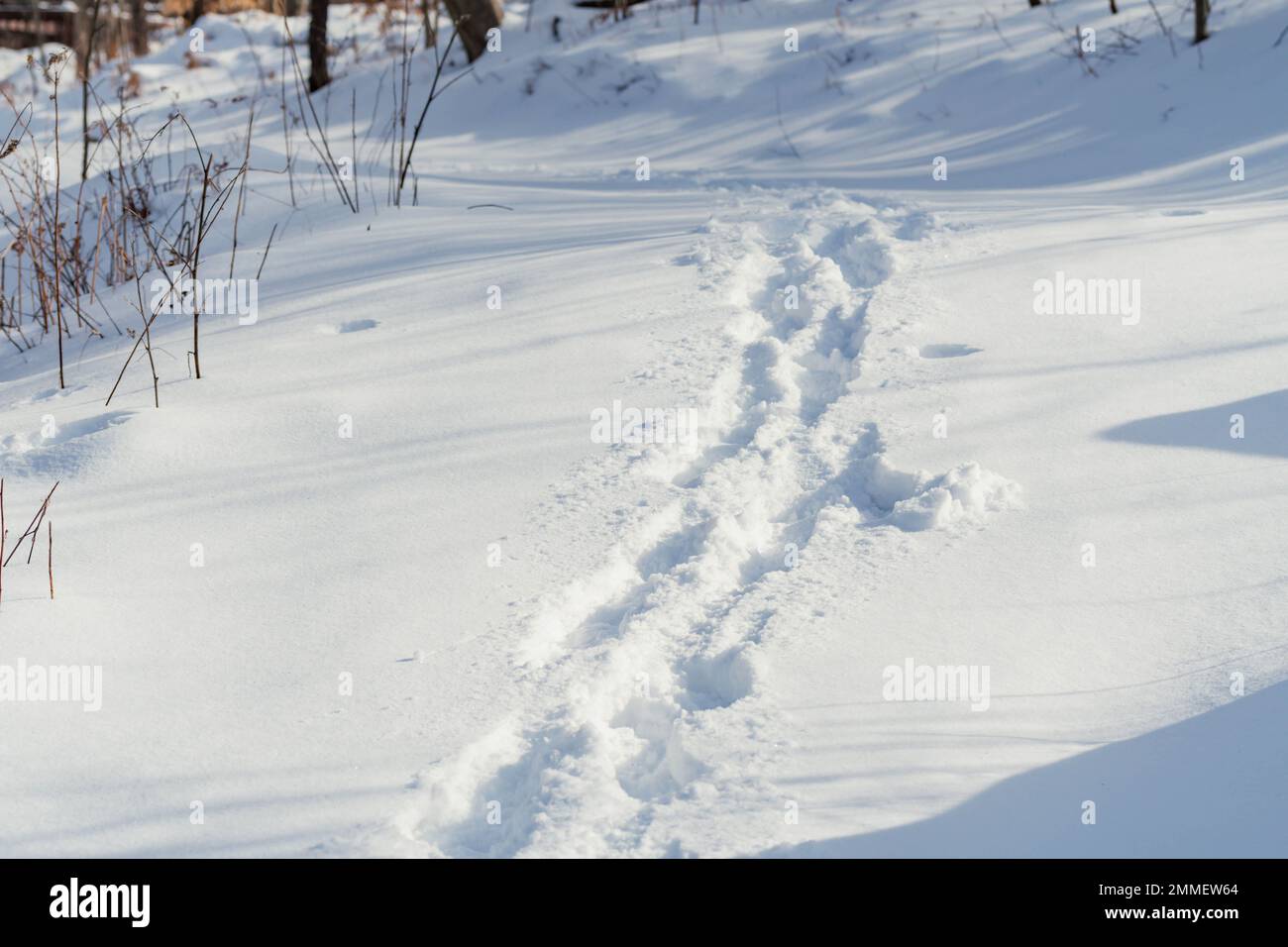 passeggiate invernali sulla neve attività invernali con clima freddo persone all'esterno del sentiero sulla neve Foto Stock