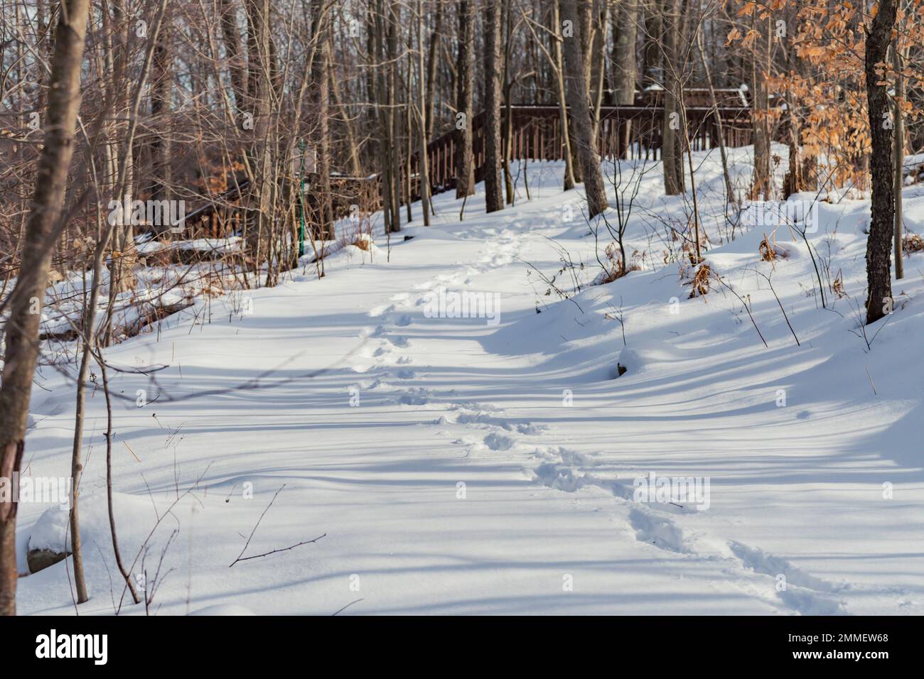 passeggiate invernali sulla neve attività invernali con clima freddo persone all'esterno del sentiero sulla neve Foto Stock