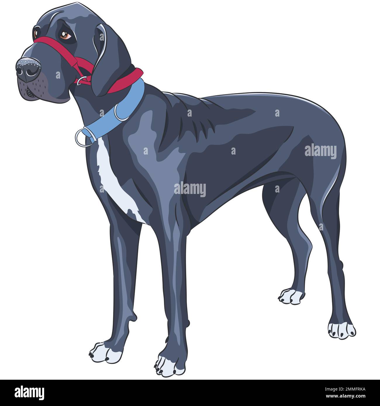 Grande danese gigante con colletto rosso su sfondo bianco. Illustrazione vettoriale. Illustrazione Vettoriale