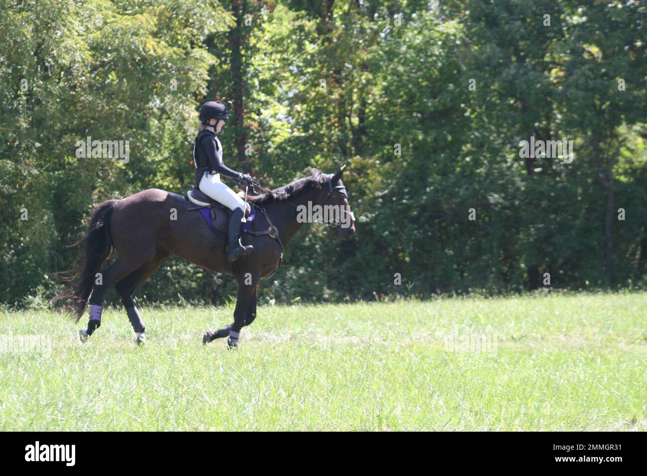 I piloti che mostrano le loro abilità al Queeny Park Equestrian eventi 2022. Foto Stock