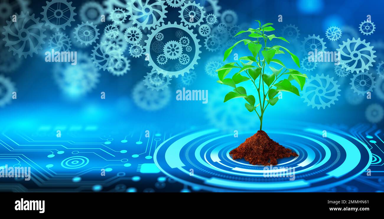 Germoglio verde pianta su suolo con ruote dentate. Luce blu e sfondo tecnologico. Biotecnologia, Biologia, Ecologia e concetto di tecnologia moderna. Foto Stock