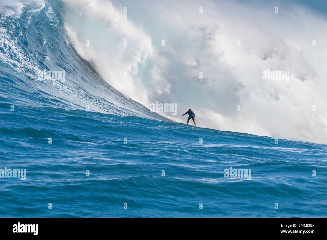 Un surfista al traino (MR) cade sul ricciolo del grande surf delle Hawaii a Peahi (Jaws) al largo di Maui, Hawaii, USA. Foto Stock