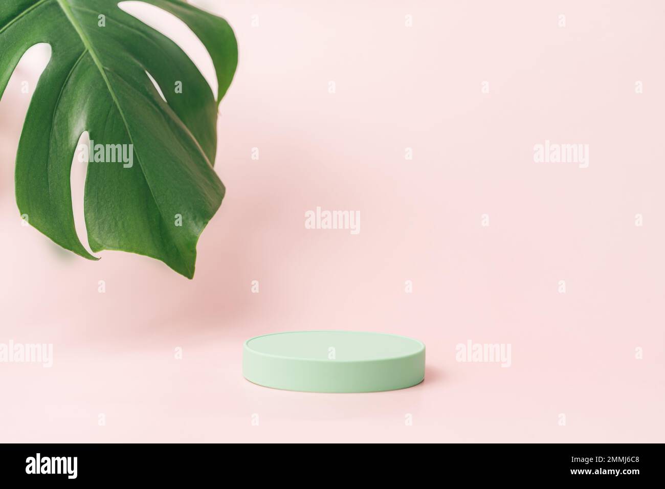 Podio verde rotondo accanto alla foglia di mostera su sfondo rosa Foto Stock