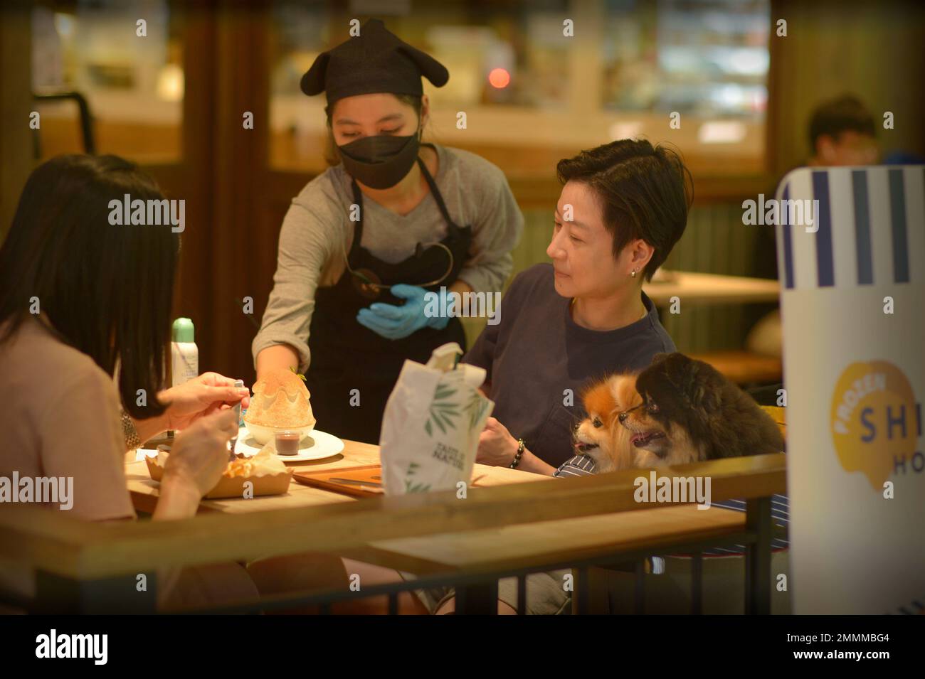 Dogs Central Festival Mall Bangkok Thailandia Foto Stock