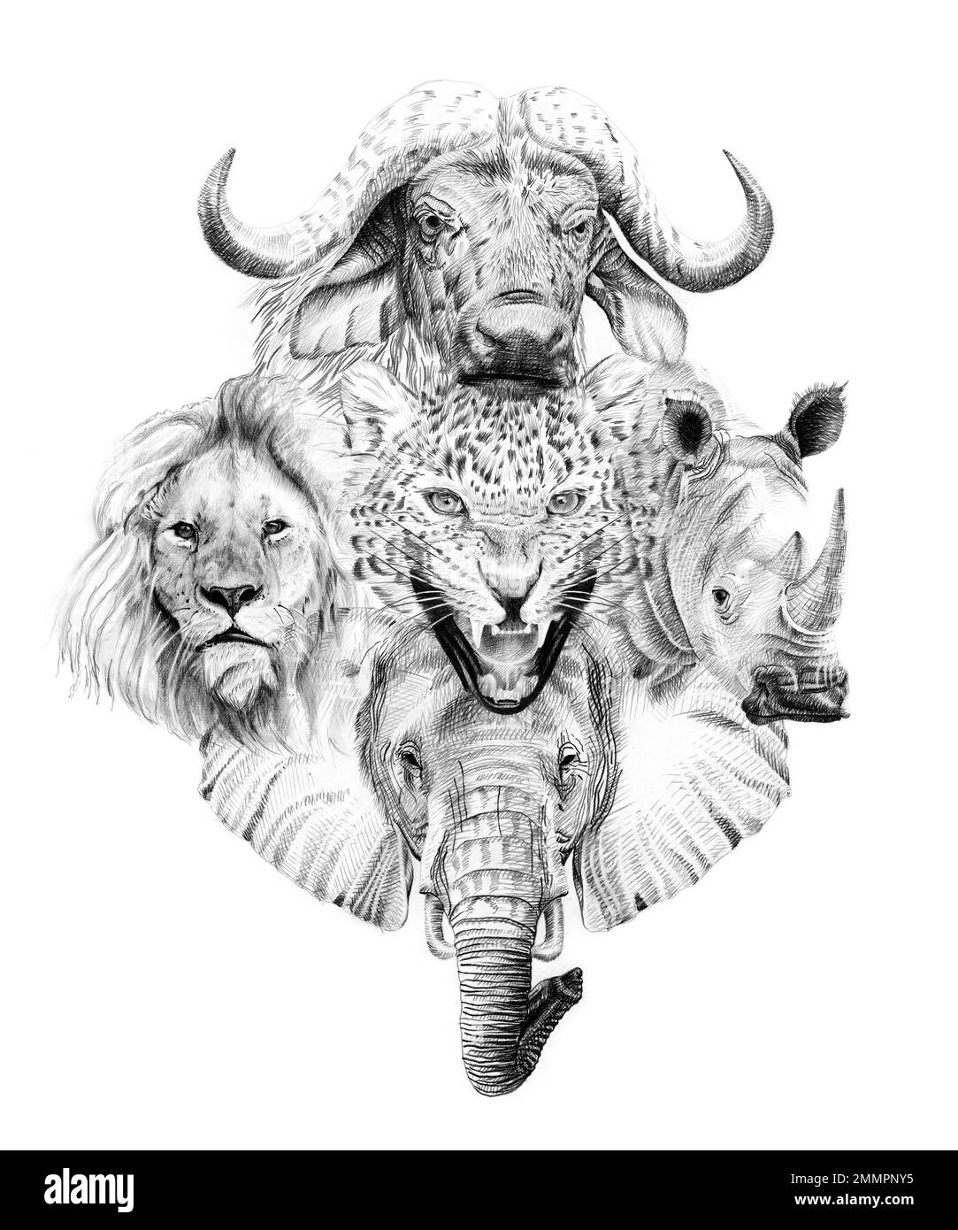 Big africana di cinque animali. Disegnata a mano illustrazione. Raccolta di disegnato a mano (illustrazioni originali, senza tastatura) Foto Stock