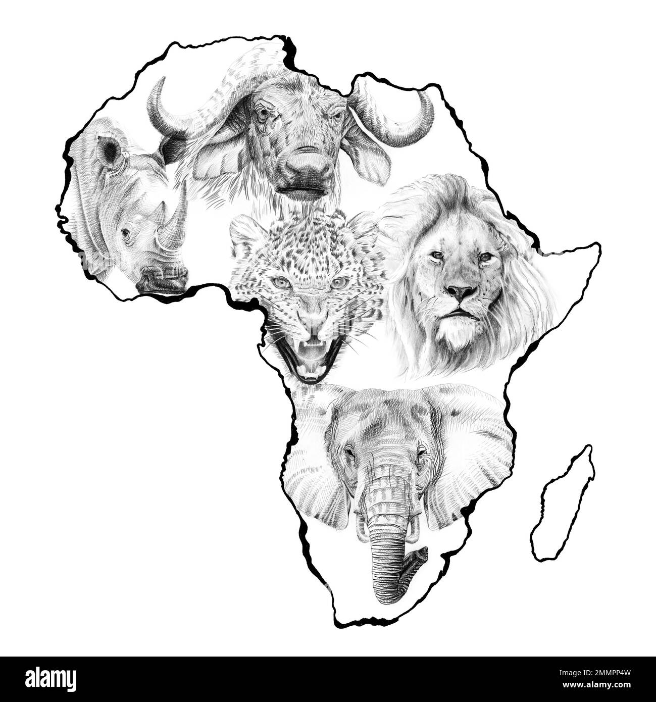 Grande animale africano cinque. Illustrazione disegnata a mano nel continente. Raccolta di illustrazioni disegnate a mano (originali, nessuna traccia) Foto Stock