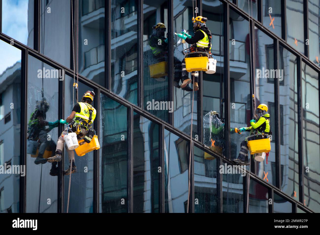 Pulitori per finestre sospesi in un alto edificio, Wellington, North Island, Nuova Zelanda Foto Stock