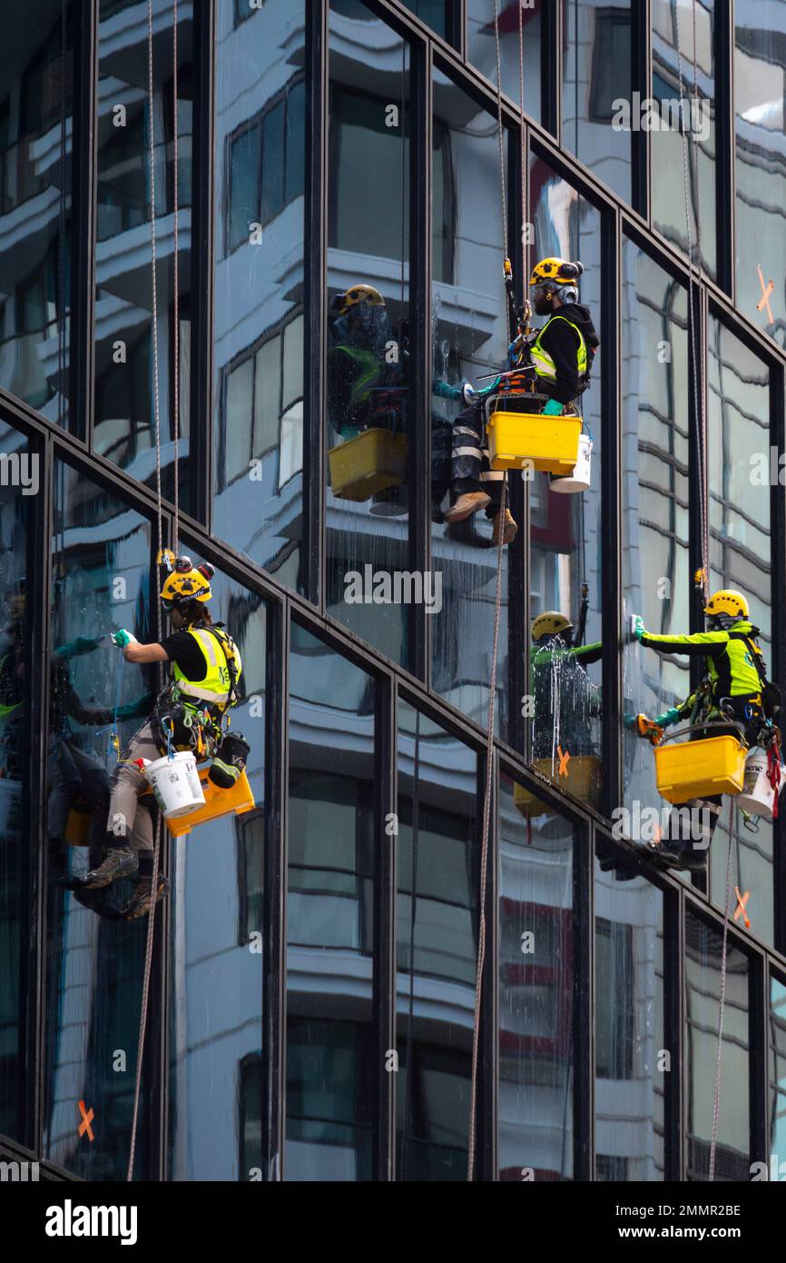 Pulitori per finestre sospesi in un alto edificio, Wellington, North Island, Nuova Zelanda Foto Stock