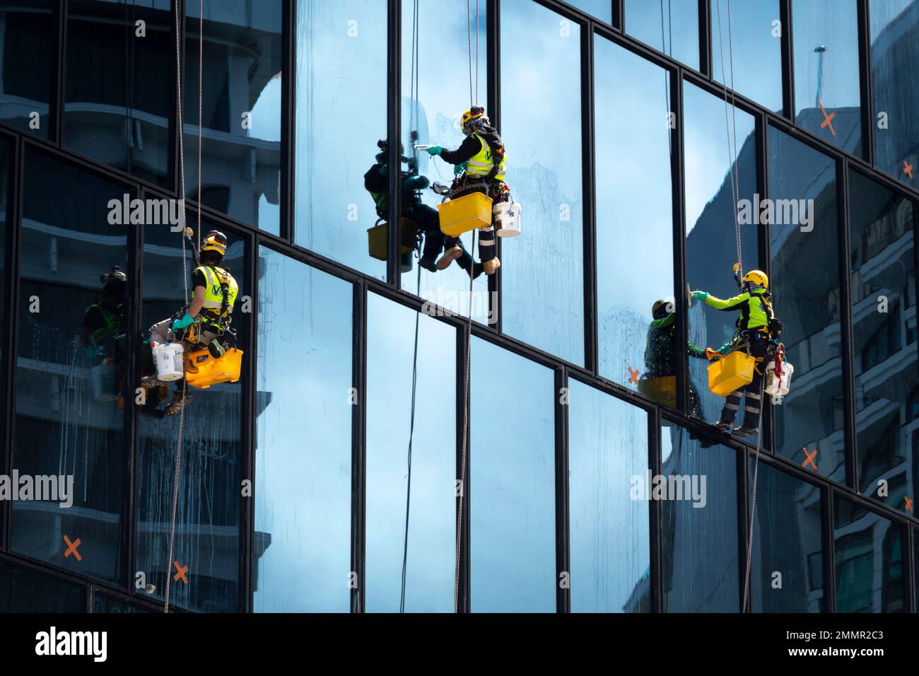 Pulitori per finestre sospesi in un alto edificio, Wellington, North Island, Nuova Zelanda Foto Stock