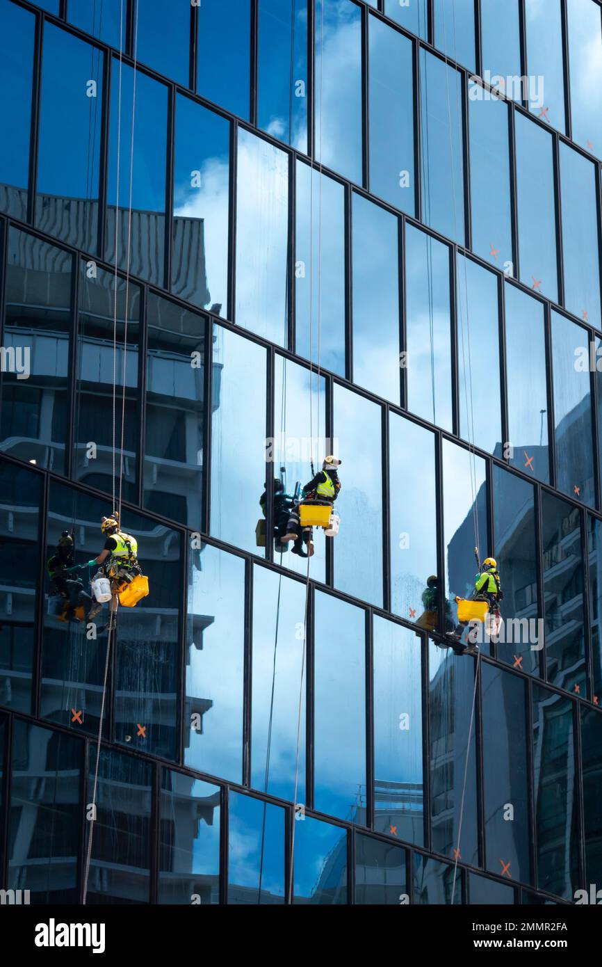 Pulitori per finestre sospesi in un alto edificio, Wellington, North Island, Nuova Zelanda Foto Stock