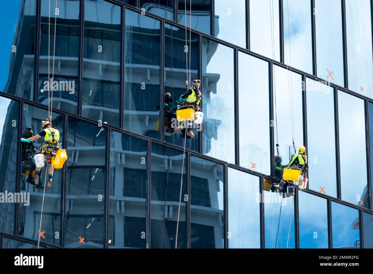 Pulitori per finestre sospesi in un alto edificio, Wellington, North Island, Nuova Zelanda Foto Stock
