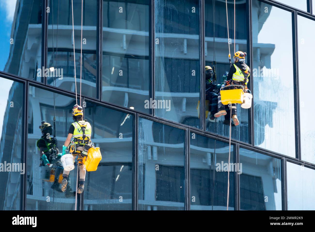 Pulitori per finestre sospesi in un alto edificio, Wellington, North Island, Nuova Zelanda Foto Stock