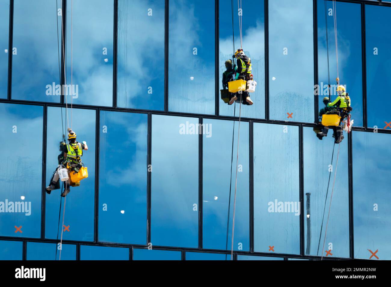 Pulitori per finestre sospesi in un alto edificio, Wellington, North Island, Nuova Zelanda Foto Stock