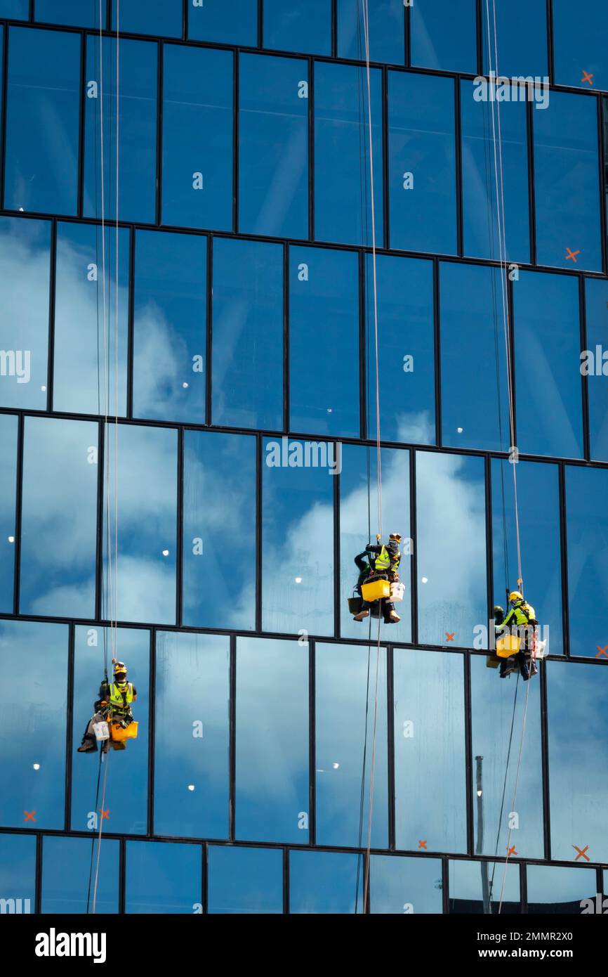 Pulitori per finestre sospesi in un alto edificio, Wellington, North Island, Nuova Zelanda Foto Stock
