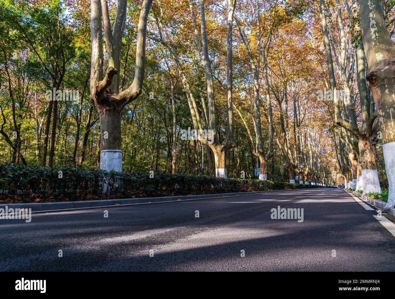 Il mausoleo di Sun yat-sen a Nanjing Foto Stock