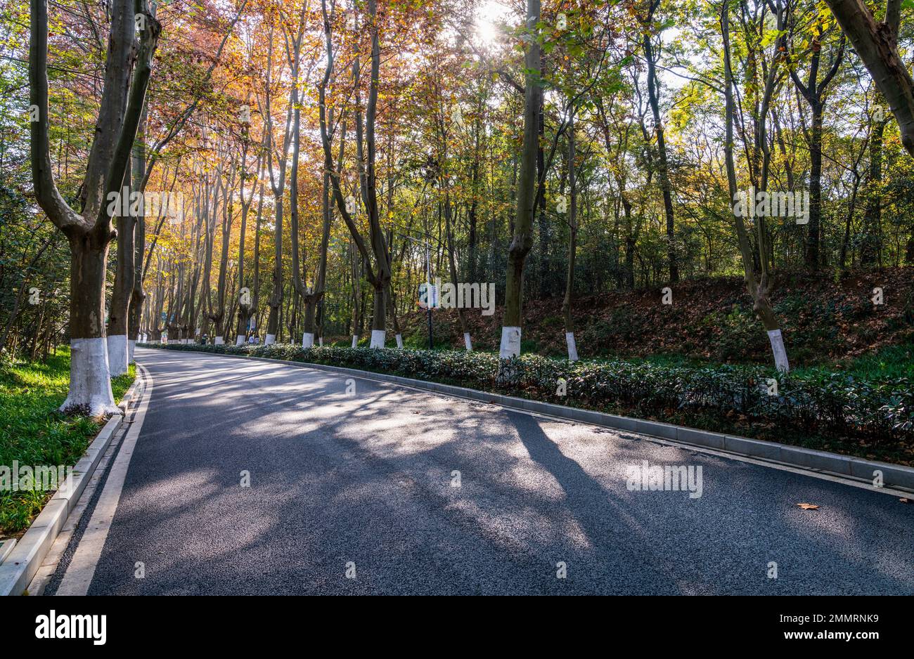 Il mausoleo di Sun yat-sen a Nanjing Foto Stock