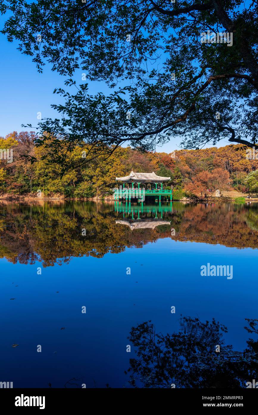 Il mausoleo di Sun yat-sen a Nanjing Foto Stock