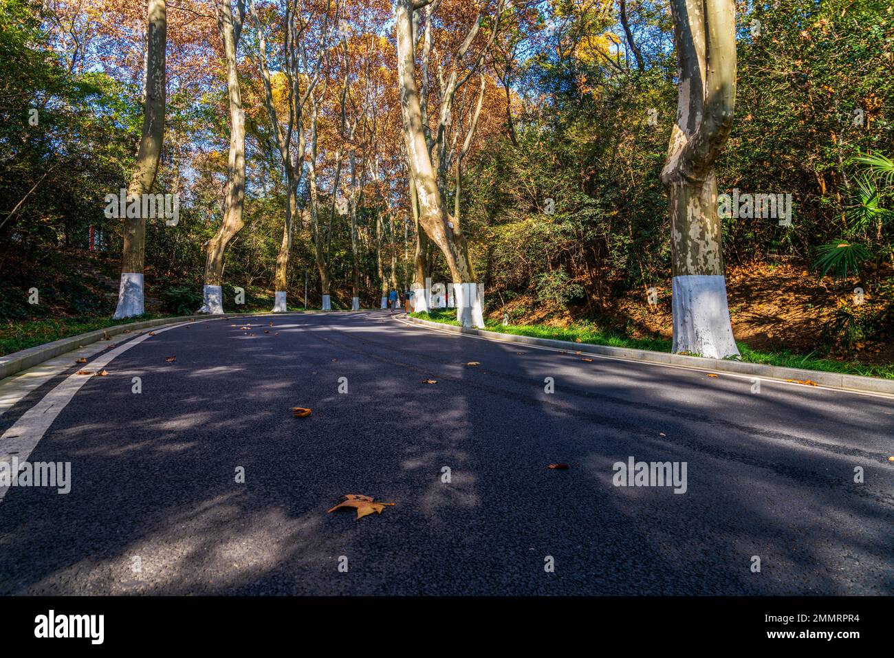 Il mausoleo di Sun yat-sen a Nanjing Foto Stock