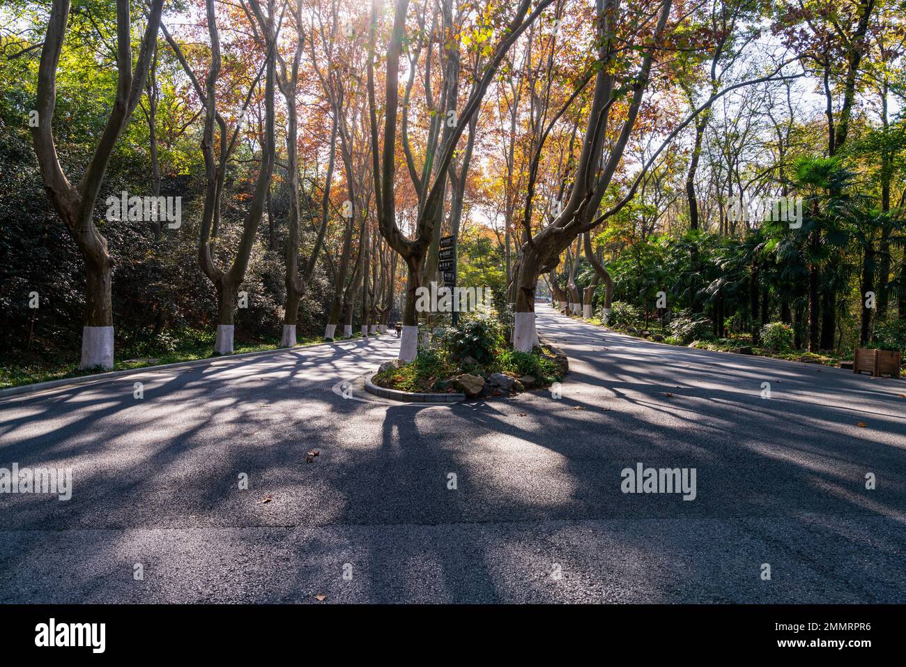 Il mausoleo di Sun yat-sen a Nanjing Foto Stock