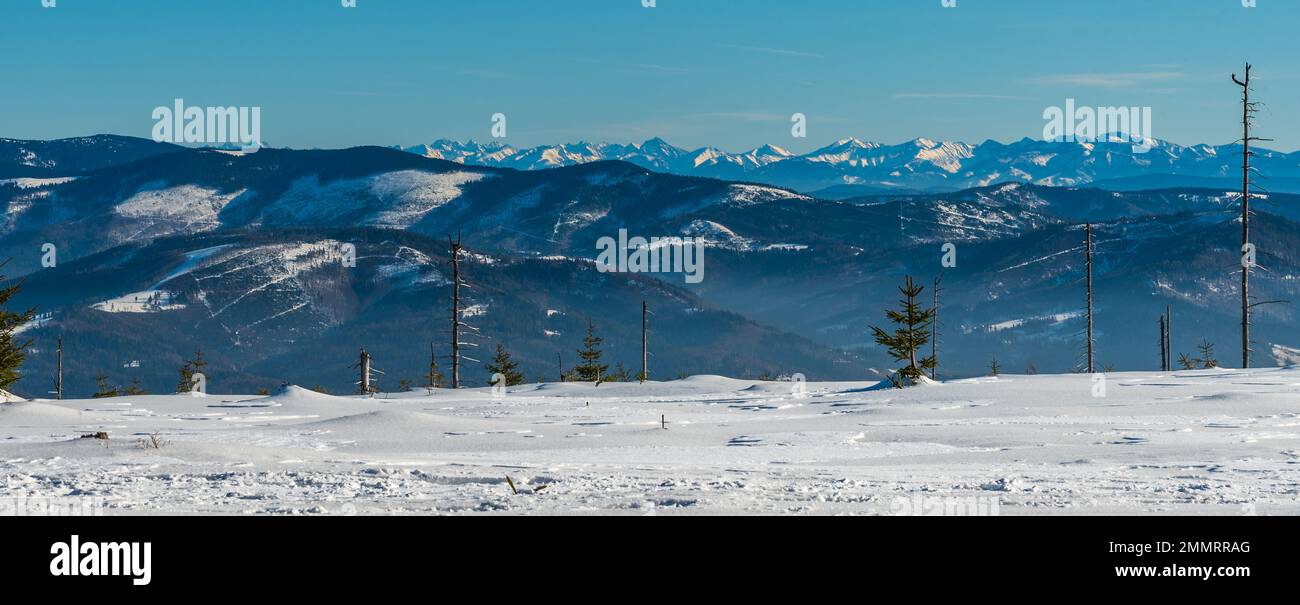 Colline più basse e vicine delle montagne di Beskids e cima più alta delle montagne di Tatra sullo sfondo da Wierch Wiselka vicino alla collina di Barania Gora in inverno Foto Stock