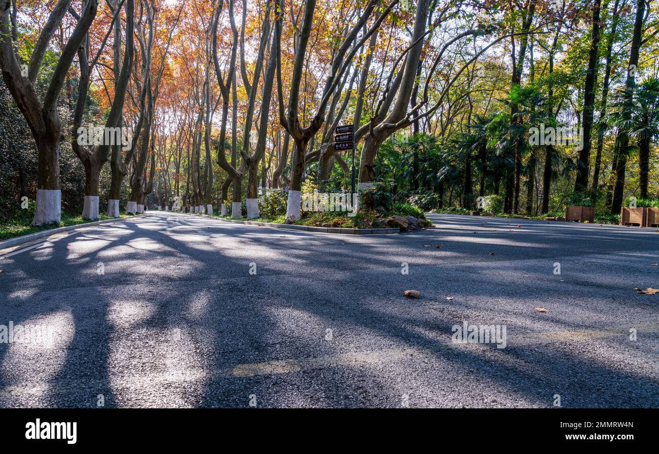 Il mausoleo di Sun yat-sen a Nanjing Foto Stock