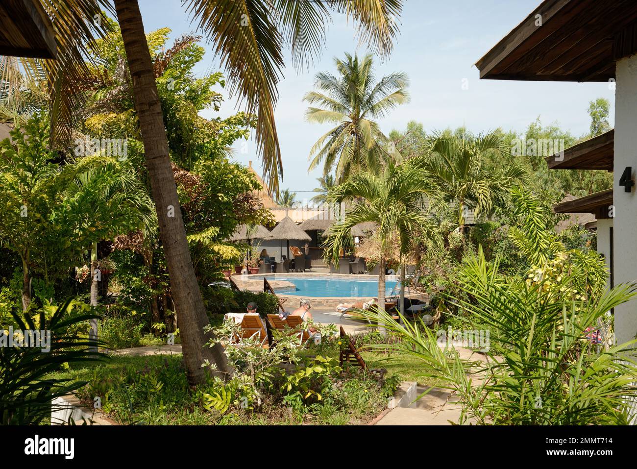 Un giardino verdeggiante attorno ad una piscina d'hotel in Gambia, Africa Occidentale. Una varietà di piante subtropicali. Foto Stock