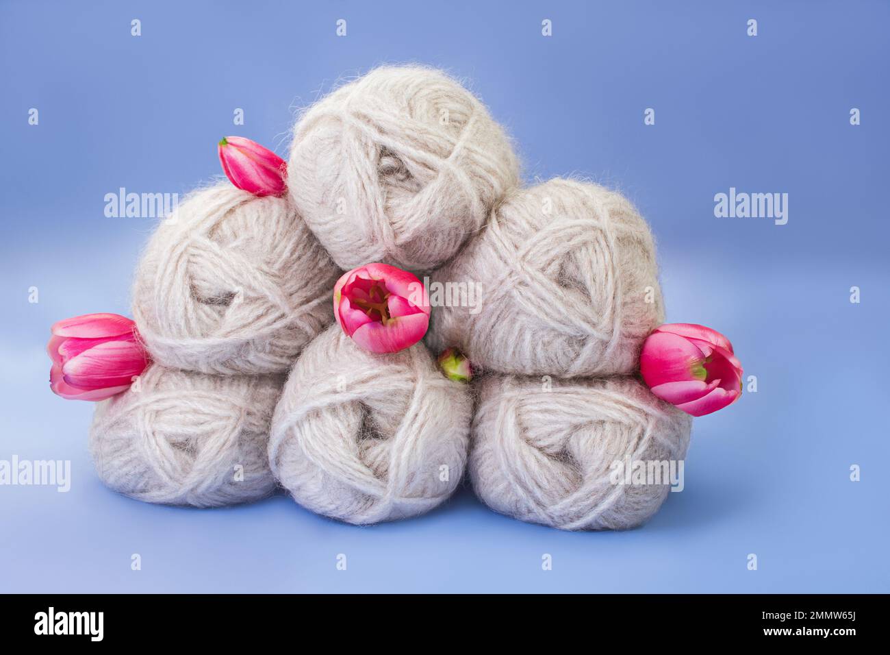 Gruppo di lana grigia di filato e filo con tulipano rosa su fondo blu. Maglieria, hobby, inverno. Spazio di copia. Giornata internazionale della donna e della madre, Foto Stock