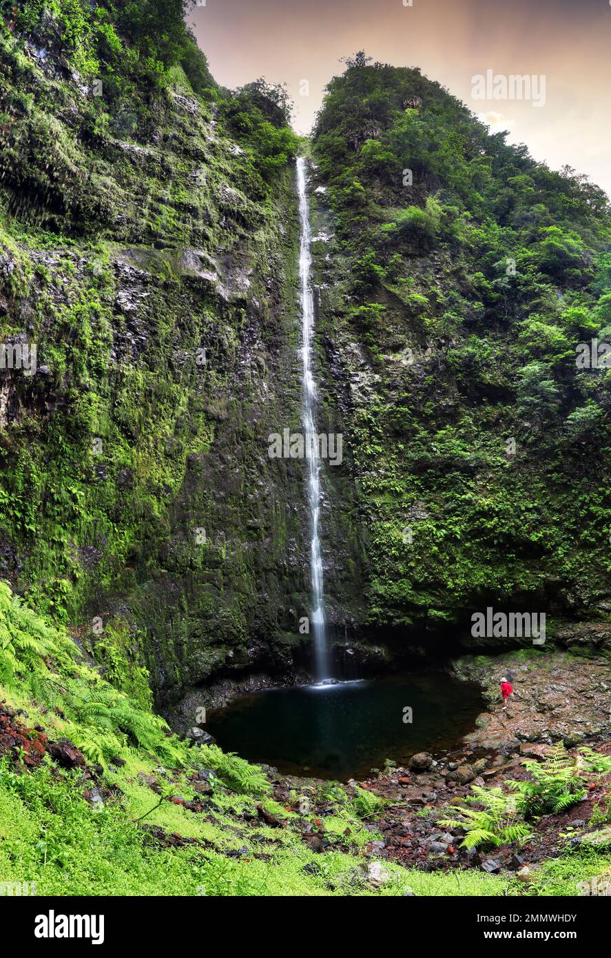 Madeira - bella cascata alla fine di Levada Caldeirao Verde, verde foresta pluviale giungla Foto Stock